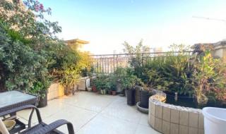 新都花园出租 新都花园出租