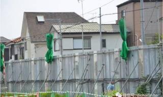 奥运会观后感200字